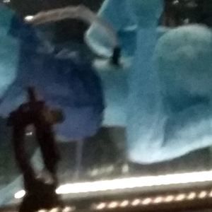 Meet your Posher, Karina